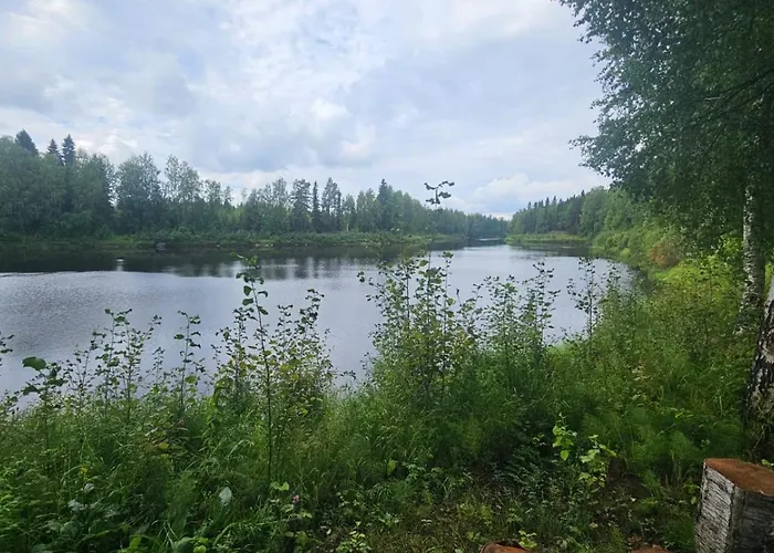 Kiiminkiriver 木屋 *